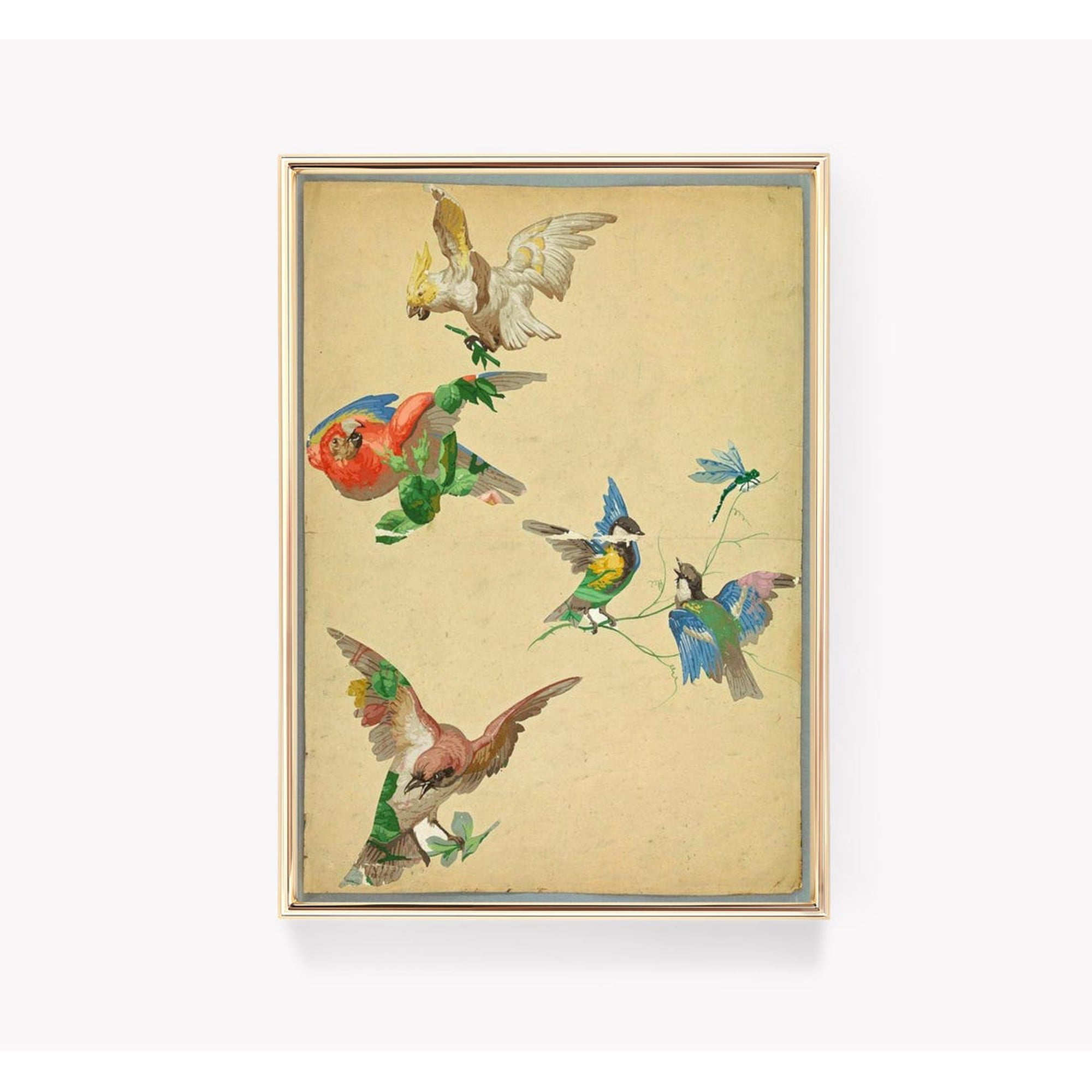 Wildlife Antique Wall Art Print Classic Nature Illustration And Vintage Home Decor