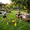 Yellow+Black, variant on Portable Roundnet Game Set with 2 Balls,Sturdy Net,Carry Bag,Family Entertainment Ball Game for Beach,Backyard,Camping,Yellow+Black