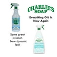 thumbnail image 6 of Charlie's Soap Indoor & Outdoor Surface Cleaner Re, 6 of 6