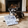 thumbnail image 4 of Crinkle Newspaper Dog Chew Toy, Interactive Squeaky Paper-Style Toy, Durable Crinkle Fabric Toy for Dogs to Bite, Tear and Relieve Boredom, 4 of 8
