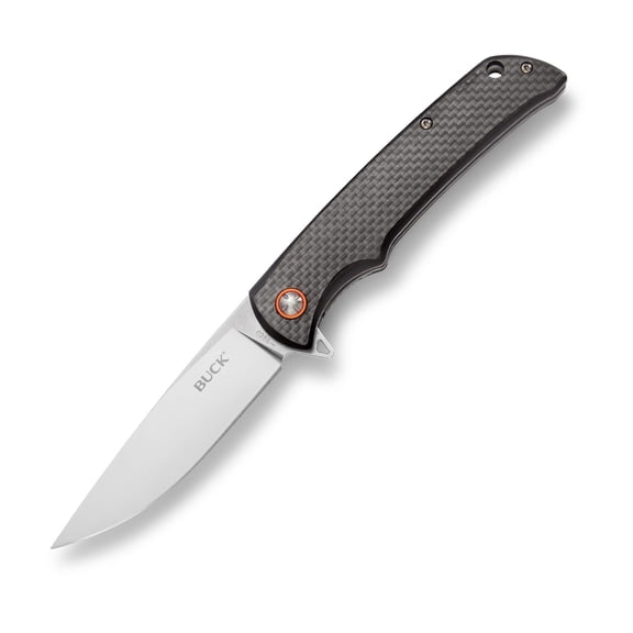 Buck Knives 259 Haxby Folding EDC Knife, 3-7/8” Pocket Knife Blade, Black, 4.5 oz