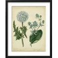 thumbnail image 2 of Art.com Cottage Florals III Art Print by Sydenham Teast Edwards, Black Frame Wall Art, 17" x 21", 2 of 5