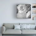 thumbnail image 3 of Judy Stalus 'Dark Ranunculus IV' Canvas Art, 3 of 3