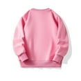 thumbnail image 3 of Hotiary Toddler Kids Solid Color Ribbed Long Sleeved Crew Neck Sweatershirt Spring and Autumn Soft Velvet Pullover for Girls 2-8T, 3 of 4