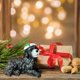 thumbnail image 5 of Perro Negro Con Gorro Navideño Adornos Navideños De Resina Para El Salón Y El Porche Decoración Artesanal, 5 of 7
