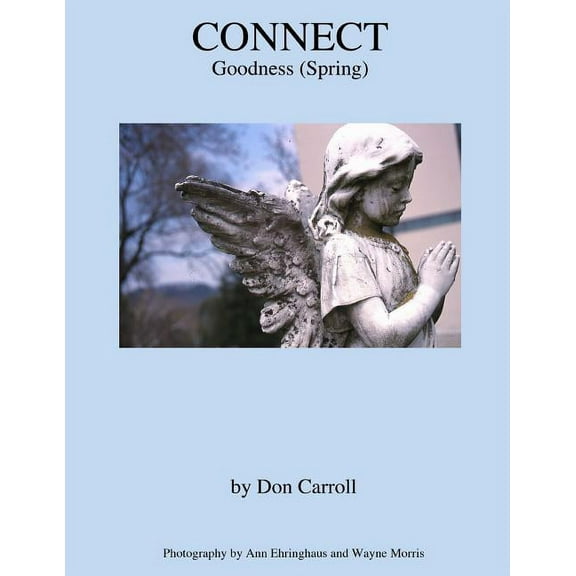 Connect Goodness: Connect: Goodness (Spring) (Paperback)