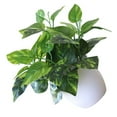 thumbnail image 2 of Artificial Potted Plant Leaf Simulation Leaves Home Office Desktop Greenery Decoration, 2 of 3
