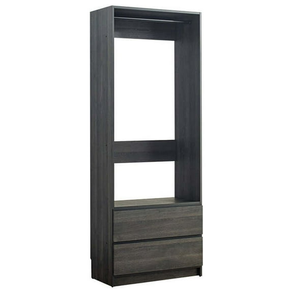 Prosper 32" Gray Wood Walk-in Closet with Two Drawers