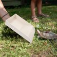 thumbnail image 3 of BESTYASH Realistic Light Grey Turtle Platform for Water Turtles with Feeder and Decoration, 3 of 7