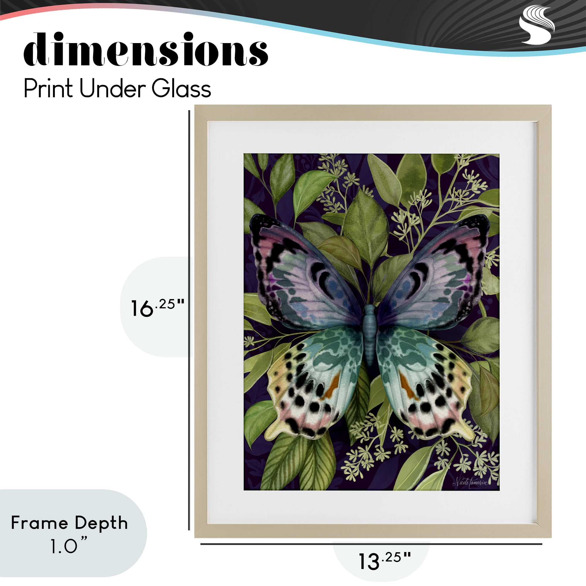 Stupell Industries Midnight Garden Butterfly Birch Framed Print Under Glass, design by Nicole Tamarin