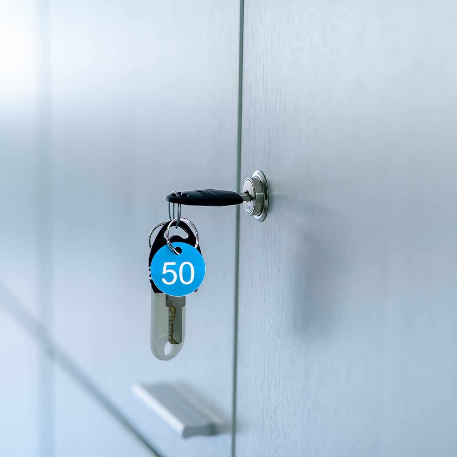 Uxcell Numbers Key Tags, 1-100 Plastic ID Hang Tag with Metal Ring Numbered Tags for Dormitory Key Chain Box Cabinet Lockers(Light Blue & White)