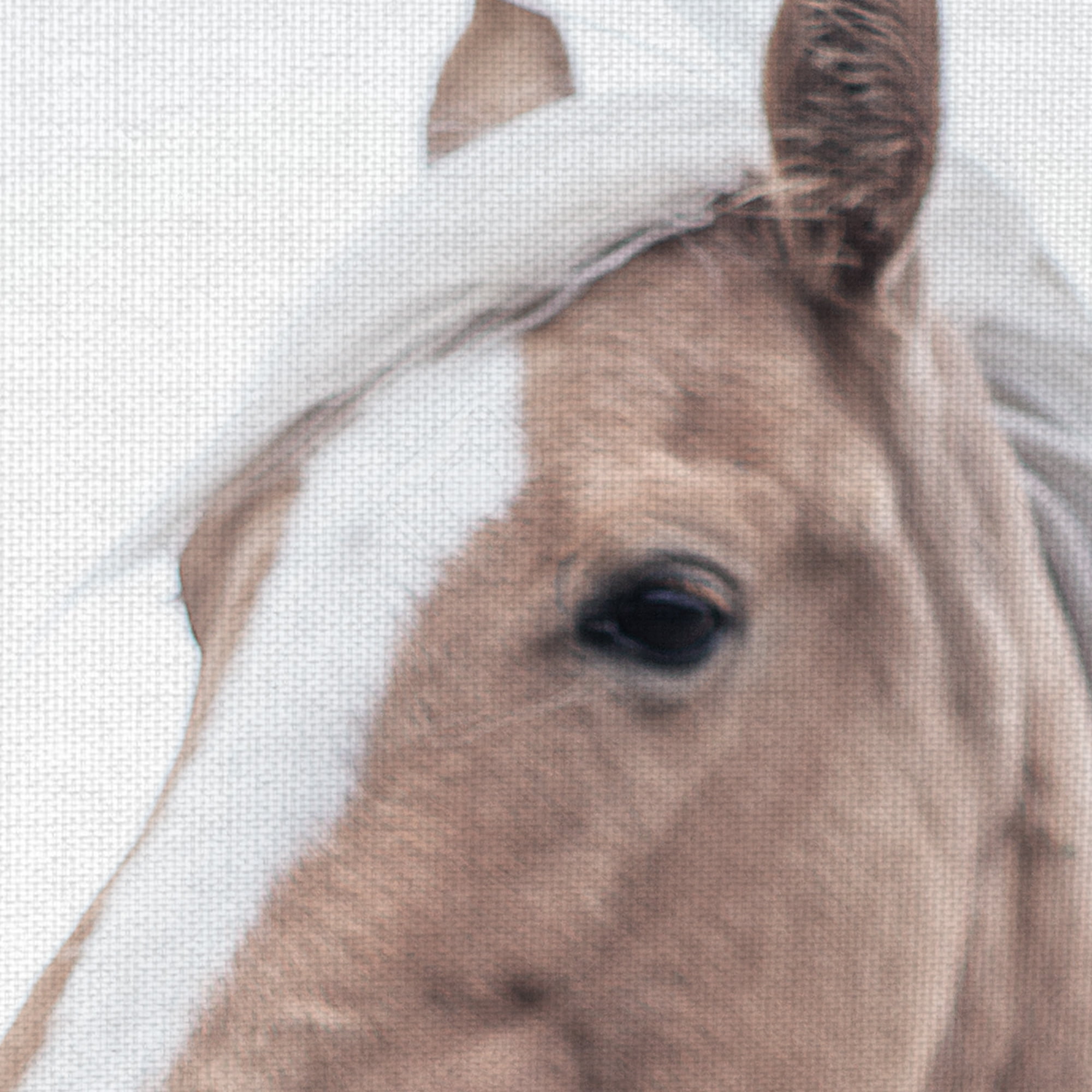 Masterpiece Art Gallery Western Blonde Horse By Chris Dunker Canvas Art Print 18" x 24"