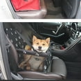 thumbnail image 3 of Portable Dog Car Seat - Waterproof, Foldable Booster Seat for Small to Medium Dogs Cats with Safety Leash, Black, 3 of 12