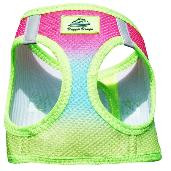 American River Choke-Free Dog Harness by Doggie Design - Rainbow Ombre - X-Large