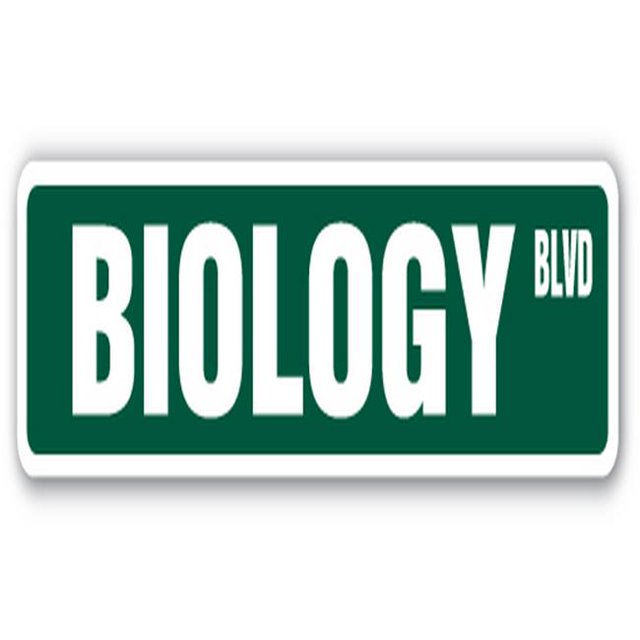 SignMission SS-BIOLOGY 18 in. Biology Street Sign - Teacher Professor Science College Biologist