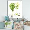 thumbnail image 2 of Designart 'Ancient Brazilian Plant III' Traditional Framed Canvas Wall Art Print, 2 of 5