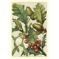 thumbnail image 3 of Vision Studio 11x14 Black Modern Framed Museum Art Print Titled - Fruits and Foliage II, 3 of 5