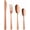 Rose Gold, variant on BuyGo Silverware Set Flatware Set Stainless Steel Dinnerware Set 4-Piece Cutlery Set, Service for 1, Rose Gold