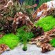 thumbnail image 5 of 2 plantas de acuario realistas: hojas de loto artificiales, decoración de peceras, plantas acuáticas verdes de plástico, accesorios para acuarios de reptiles., 5 of 8