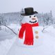 thumbnail image 4 of Kit De Decoración De Muñeco De Nieve, Decoraciones Navideñas De Invierno Para Niños, Actividad Familiar Divertida Para Todas Las Edades, 4 of 6