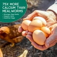 thumbnail image 4 of Larvas secas de mosca soldado negra para gallinas Value Grubs 1,8 kg, alto contenido de proteína y calcio, 4 of 8