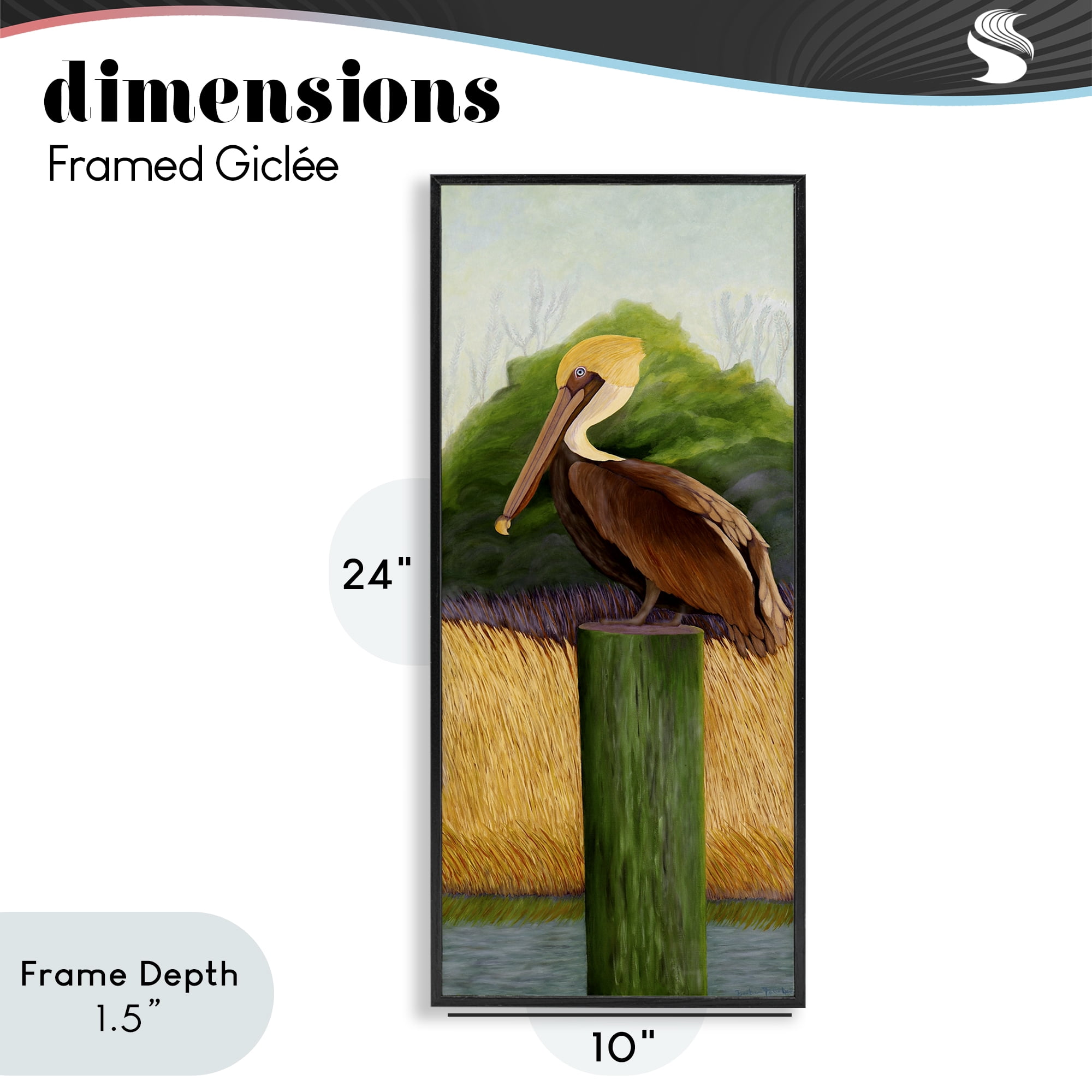 Stupell Industries Perched Blue Eyed Pelican Black Framed Giclee Art, design by Barbara Fallenbaum