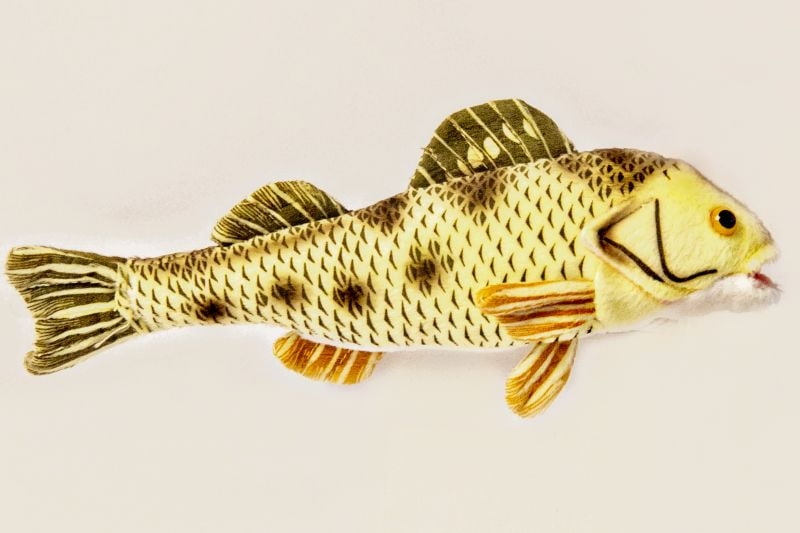 cabin critters stuffed fish