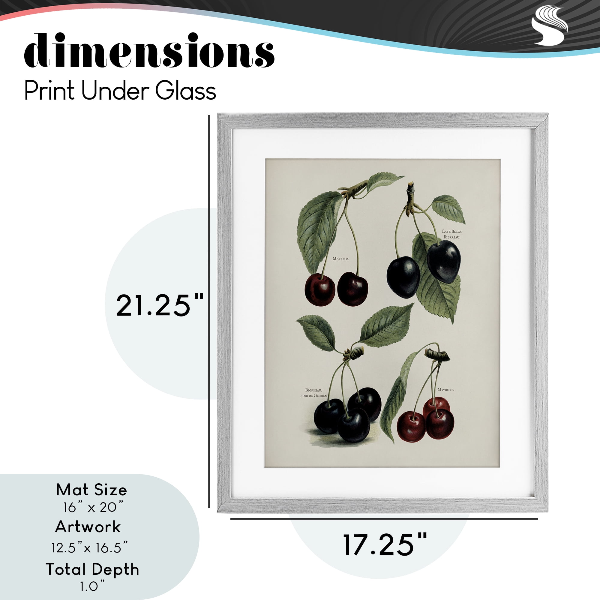 Natural Detailed Cherry Studies Gray Framed Print Under Glass, design by Lettered and Lined