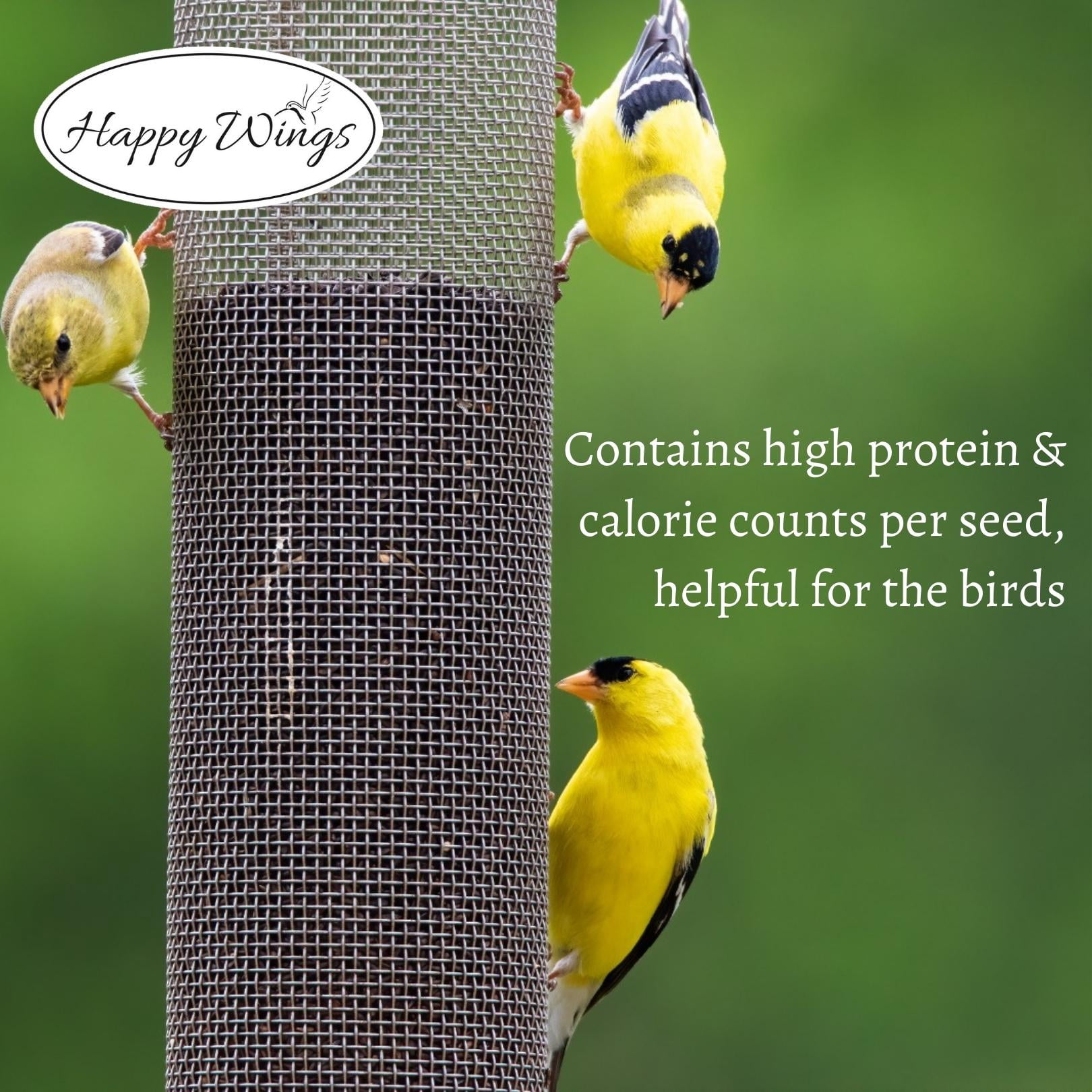 Happy Wings Thistle/Nyjer Seed, No Growth Wild Bird Feed and Seed, Dry, 10 lb. Bag