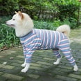 thumbnail image 3 of Recovery Suit for Dogs Cats Striped Dog Recovery Onesie Full Coverage Dog Bodysuit Long Sleeve 4 Legs Pajamas for Medium Large Dogs, 3 of 7