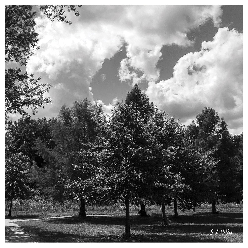 Kansas Clouds By Photographer Steven A. Heller - 16"X20" Canvas