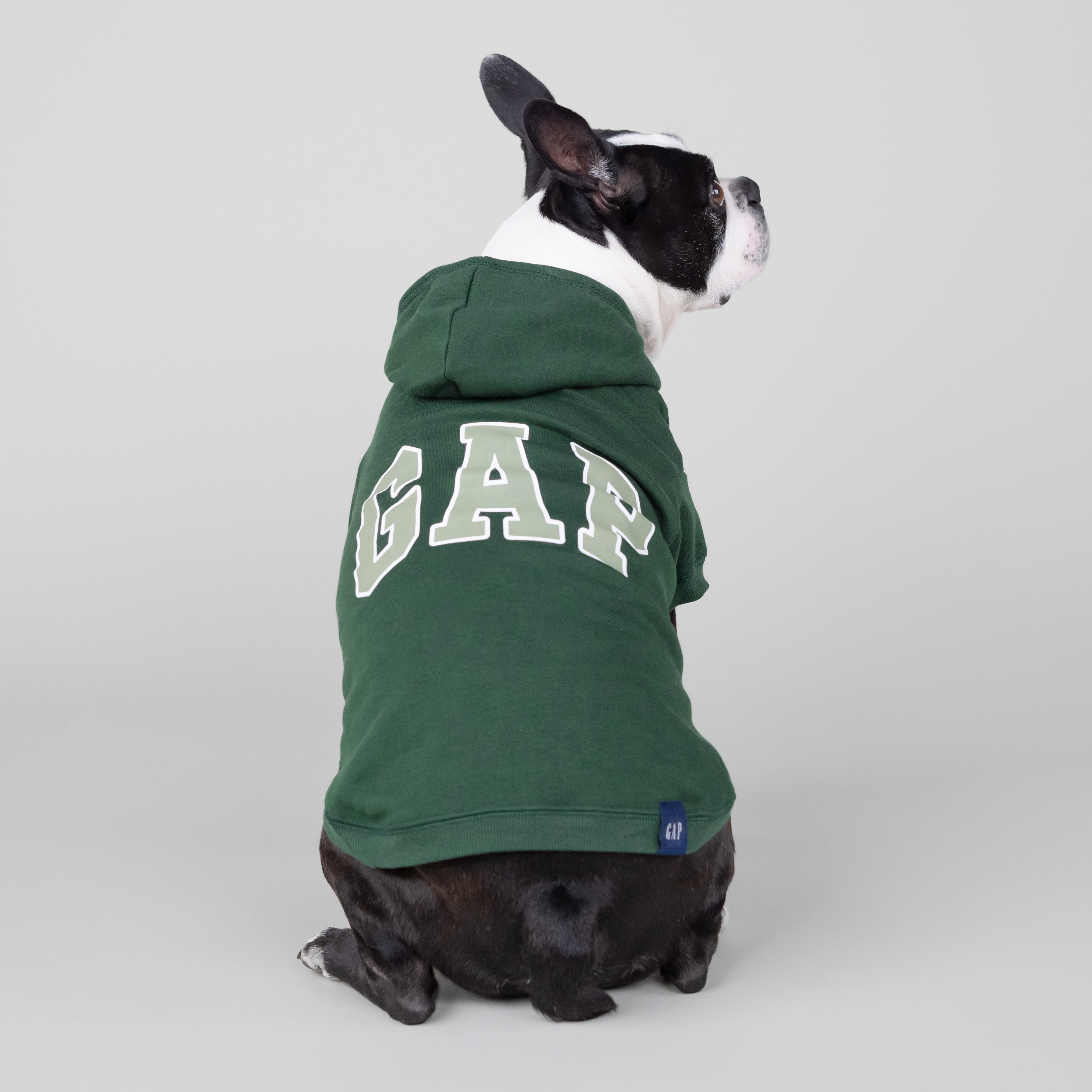 Gap Pet Dog Clothes, Classic Gap Logo Pet Hoodie, Green, Large