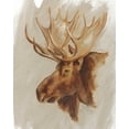 thumbnail image 2 of Harper, Ethan 15x18 White Modern Wood Framed Museum Art Print Titled - Western American Animal Study II, 2 of 4