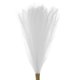 thumbnail image 1 of Uxcell 30Pcs Hierba de Pampas Falsa de 21" para Decoración de Bodas Blanca, 1 of 7
