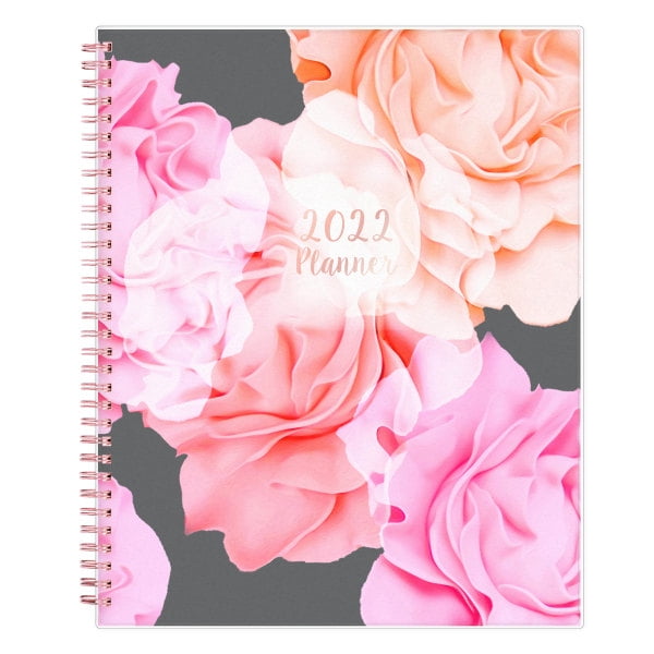Blue Sky Frosted Weekly/Monthly Safety Wirebound Planner, 8-1/2' x 11', January to December 2022