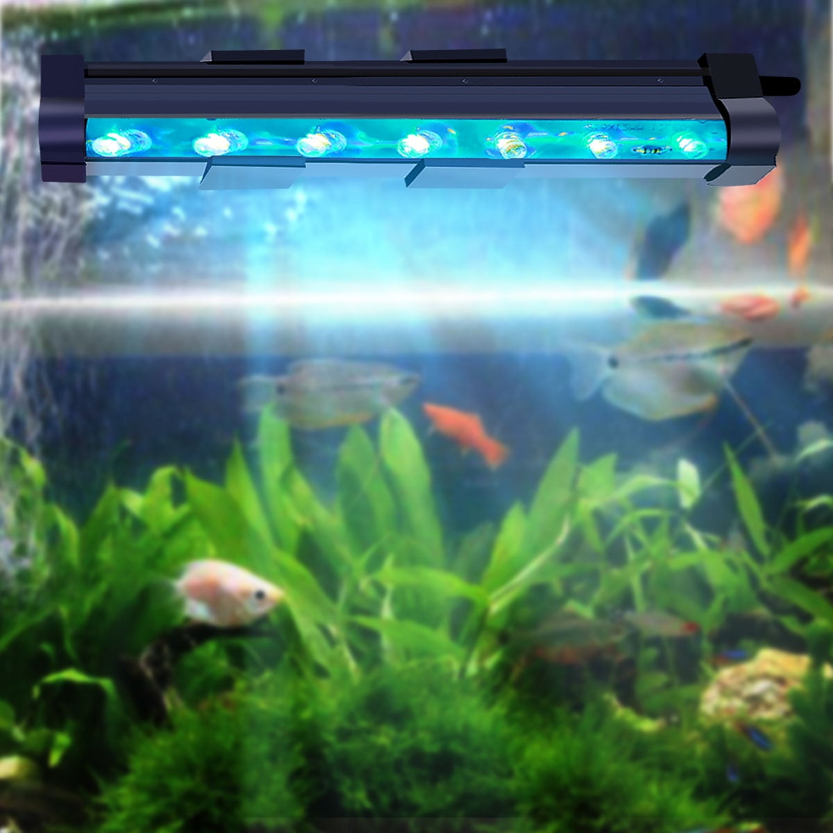 blik Kenmerkend Welkom 1 Watt Aquarium Air Stone with Automatic Color Changing LED Light, 5.9"  Color Changing LED Fish Tank Submersible Light for Small Fish Tank -  Walmart.com