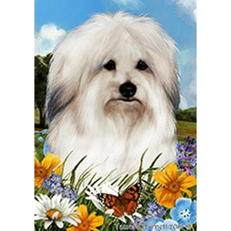 Coton De Tulear - Best of Breed Summer Flowers Garden