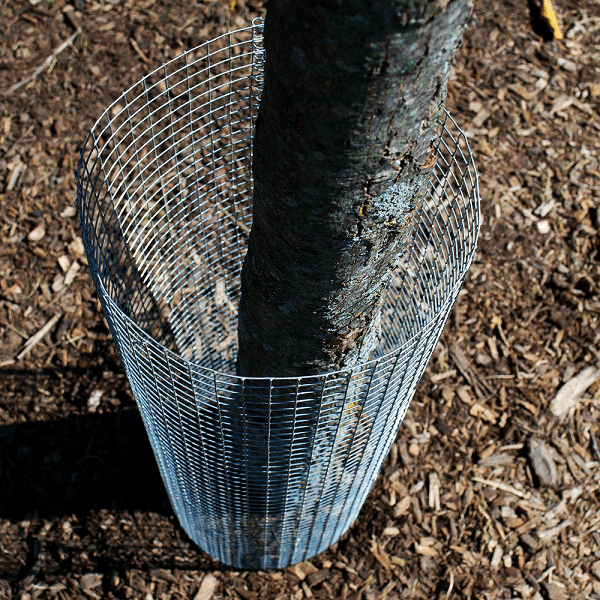 Hardware Cloth | 1/2" x 4' x 50' | 19-Gauge Cage Wire Mesh