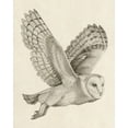 thumbnail image 2 of Popp, Grace 12x14 Gold Ornate Wood Framed with Double Matting Museum Art Print Titled - Night Owl II, 2 of 4