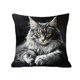 thumbnail image 2 of Funda de almohada con estampado de gato (45 x 45 cm) | Funda de cojín decorativa de poliéster suave con cremallera oculta para sofá, cama y sala de estar., 2 of 7