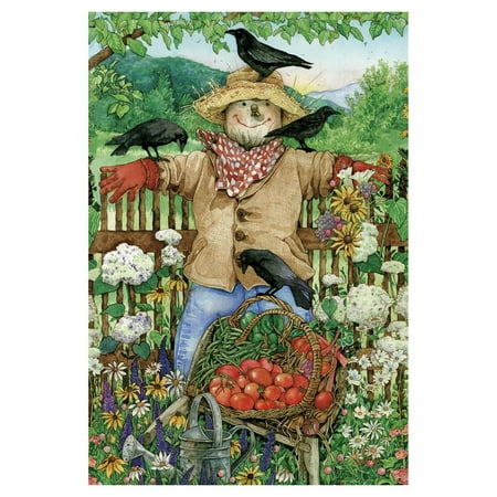 - Toland Home Garden Friendly Scarecrow Flag