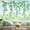 Ivy Vine, variant on Spring Garden Flower Double Sided Window Clings Wildflower Sunflower Iris Butterflies Floral Window Decals Anti-Collision Glass Window Doors Window Stickers