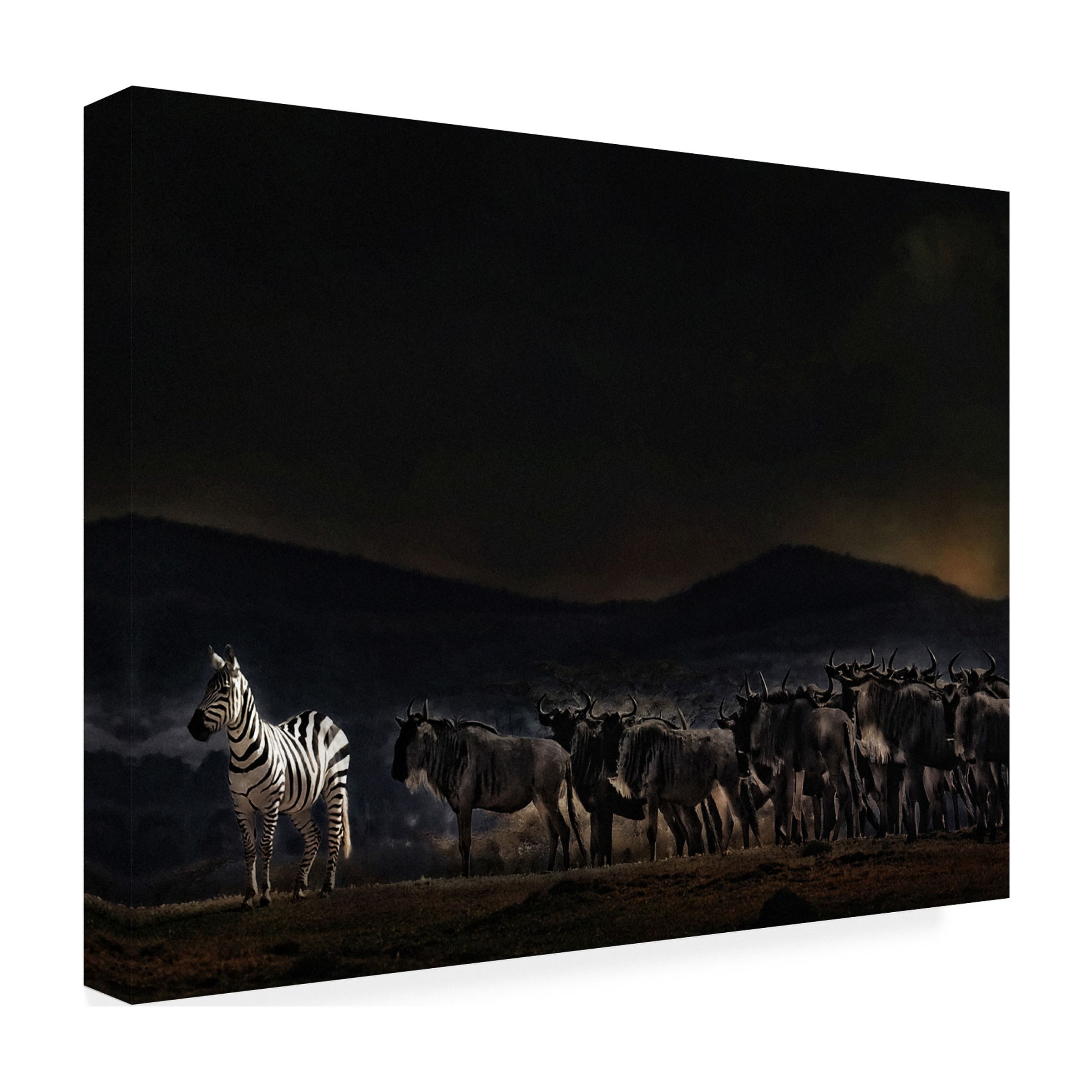 Piet Flour 'An Evening In Kenya' Canvas Art