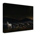 thumbnail image 4 of Piet Flour 'An Evening In Kenya' Canvas Art, 4 of 4