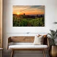 thumbnail image 3 of Elephant Stock Willamette Vineyard Wall Art - Horizontal Canvas Wall Art - Living Room Wall Decor - Nature Canvas - Green And Brown Decor - 45" x 30", 3 of 8