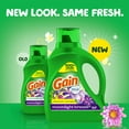 thumbnail image 2 of Gain Liquid Laundry Detergent, Moonlight Breeze Scent, Freshness + Odor Fighting, Laundry Detergent Liquid Soap, HE compatible, 2.6 Litres, 61 Wash Loads, 2 of 20