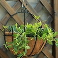 thumbnail image 5 of GadgetVLot Hanging Coconut Vegetable Flower Pot Basket Liners Planter Garden Decor Iron Art Crafts, 5 of 7