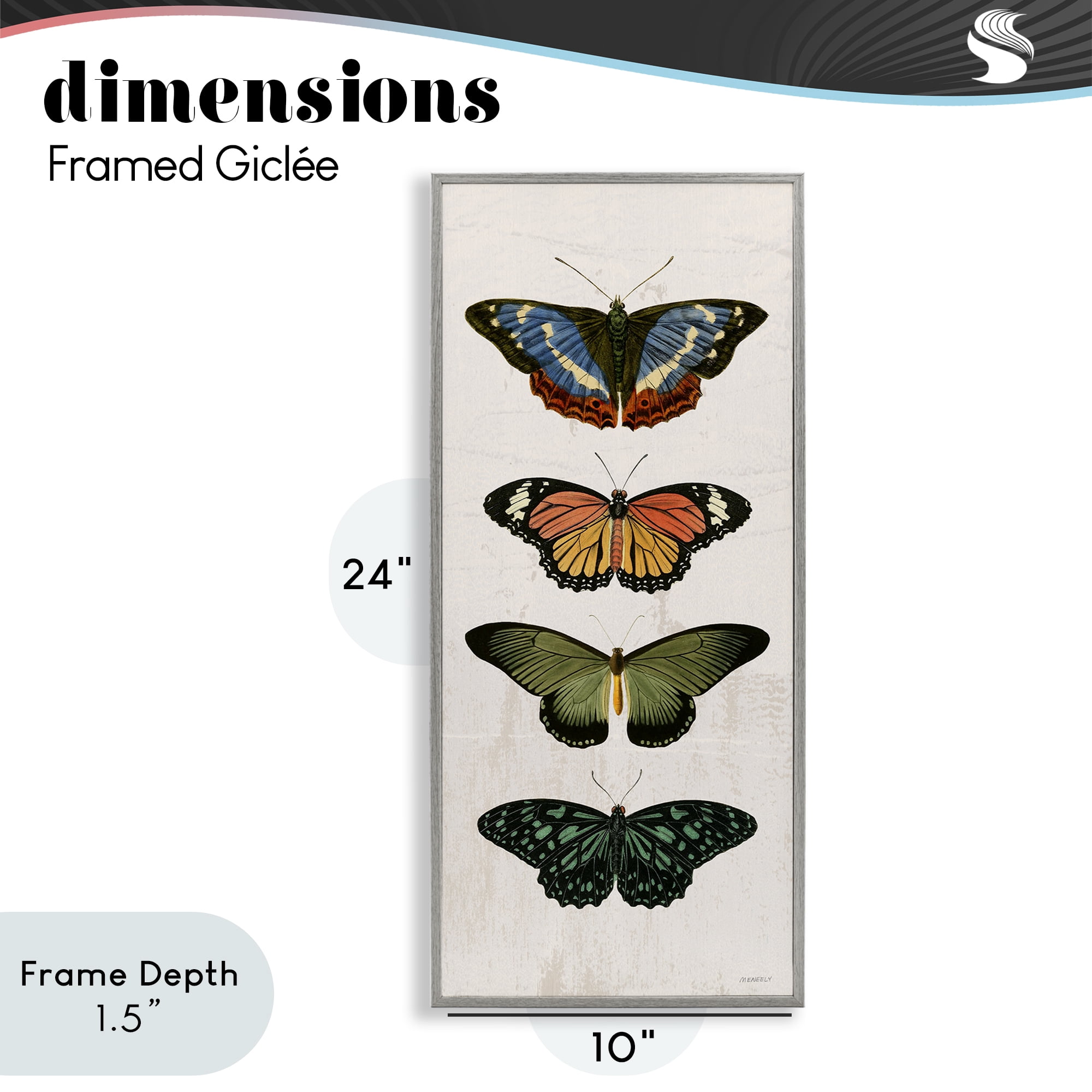 Stupell Industries Butterfly Lineup Vintage Gray Framed Giclee Art, design by Dan Meneely