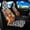 Cute Highland Cow, variant on Uorisanigo Blue Rose Car Seat Covers Waterproof Front Seat Covers Easy Installation Stretch Polyester Fabric Cover Protection Interior Accessories Universal Fit Most Cars,SUV, Trucks