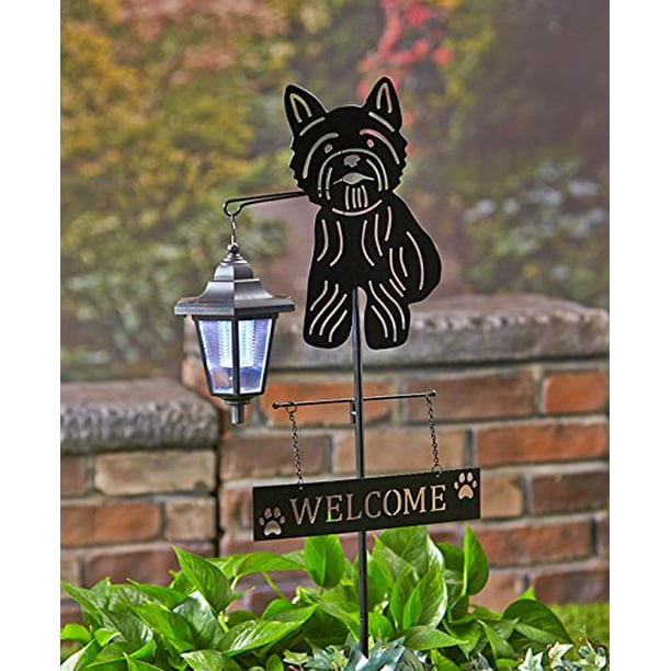 Solar Dog Breed Lantern Stake Yorkie Approx 12 1 4 W X 2 D 30 3 H By Getset2save Com - Dog Breed Garden Stakes Solar Dog Breed Lantern Stake Yorkie Approx 12 1 4 W X 2 D 30 3 H By Getset2save Com - Dog Breed Garden Stakes